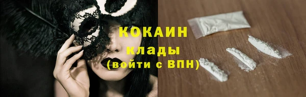гашик Белокуриха