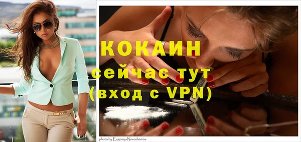 гашик Белокуриха
