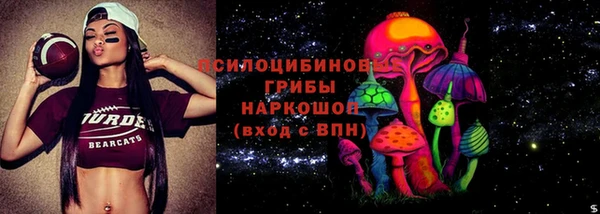 гашик Белокуриха