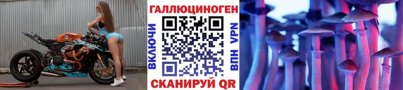 дарнет шоп  Макаров  Псилоцибиновые грибы Psilocybe 