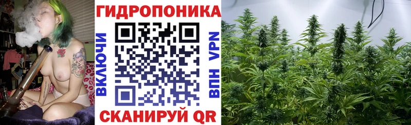 Шишки марихуана THC 21% что такое наркотик Макаров